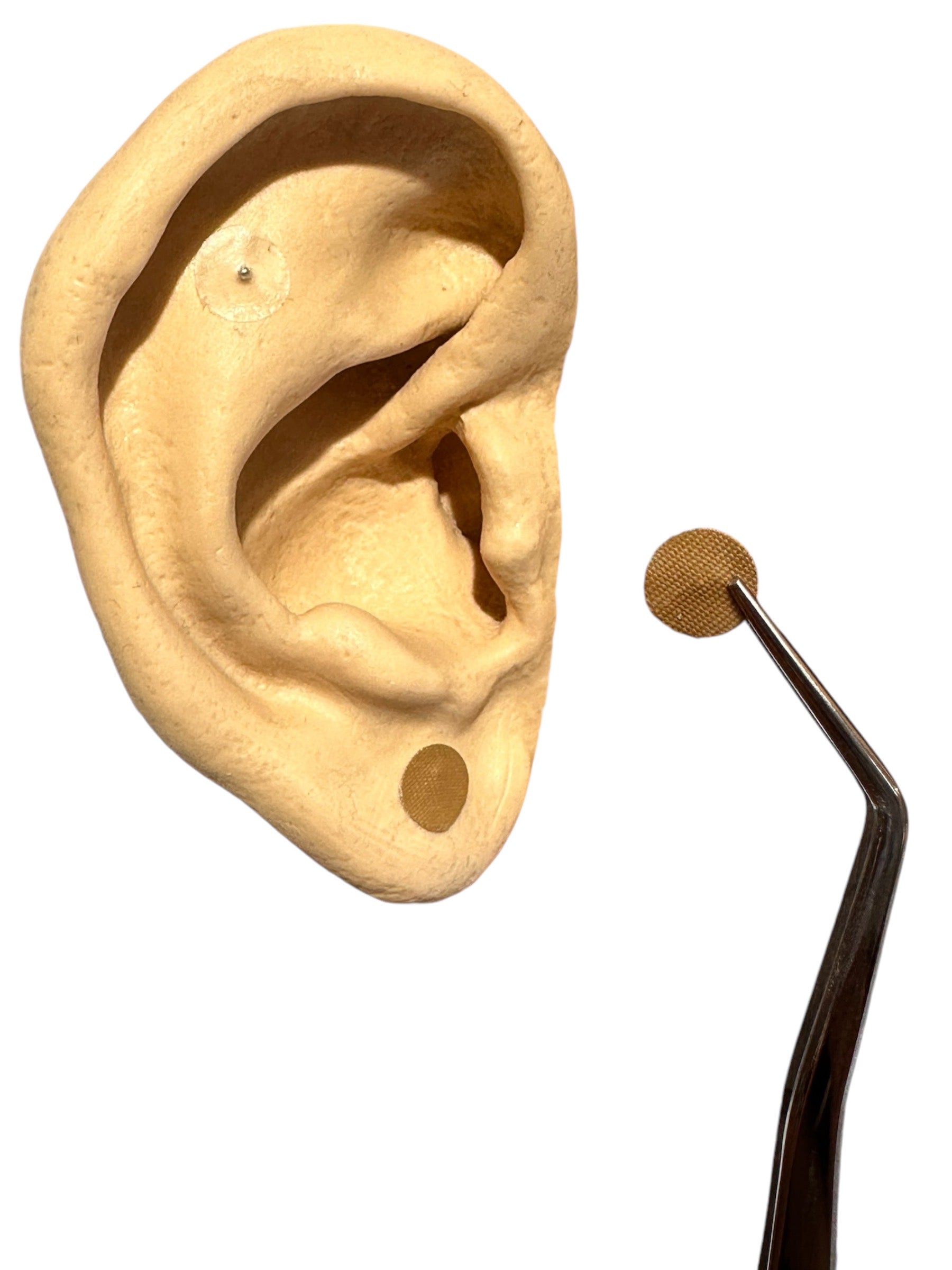 BALINES MAGNETIZADOS PARA AURICULOTERAPIA BLEDKAR