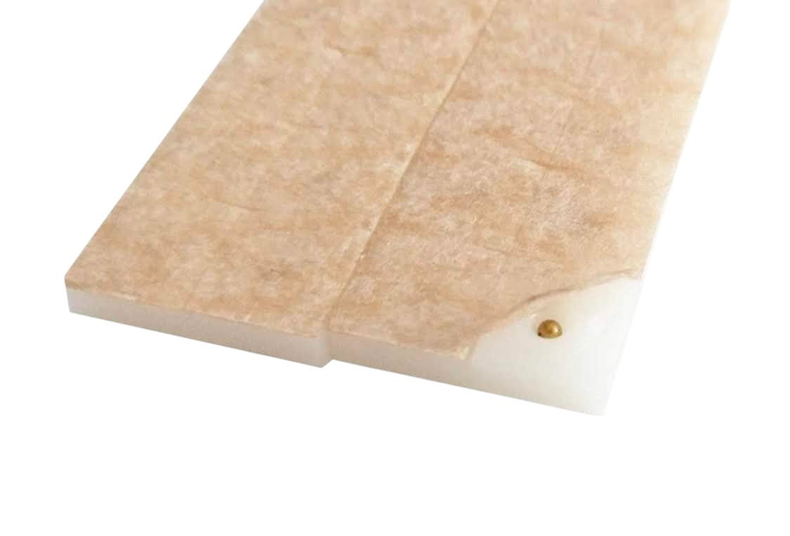 IMANES DE AURICULOTERAPIA