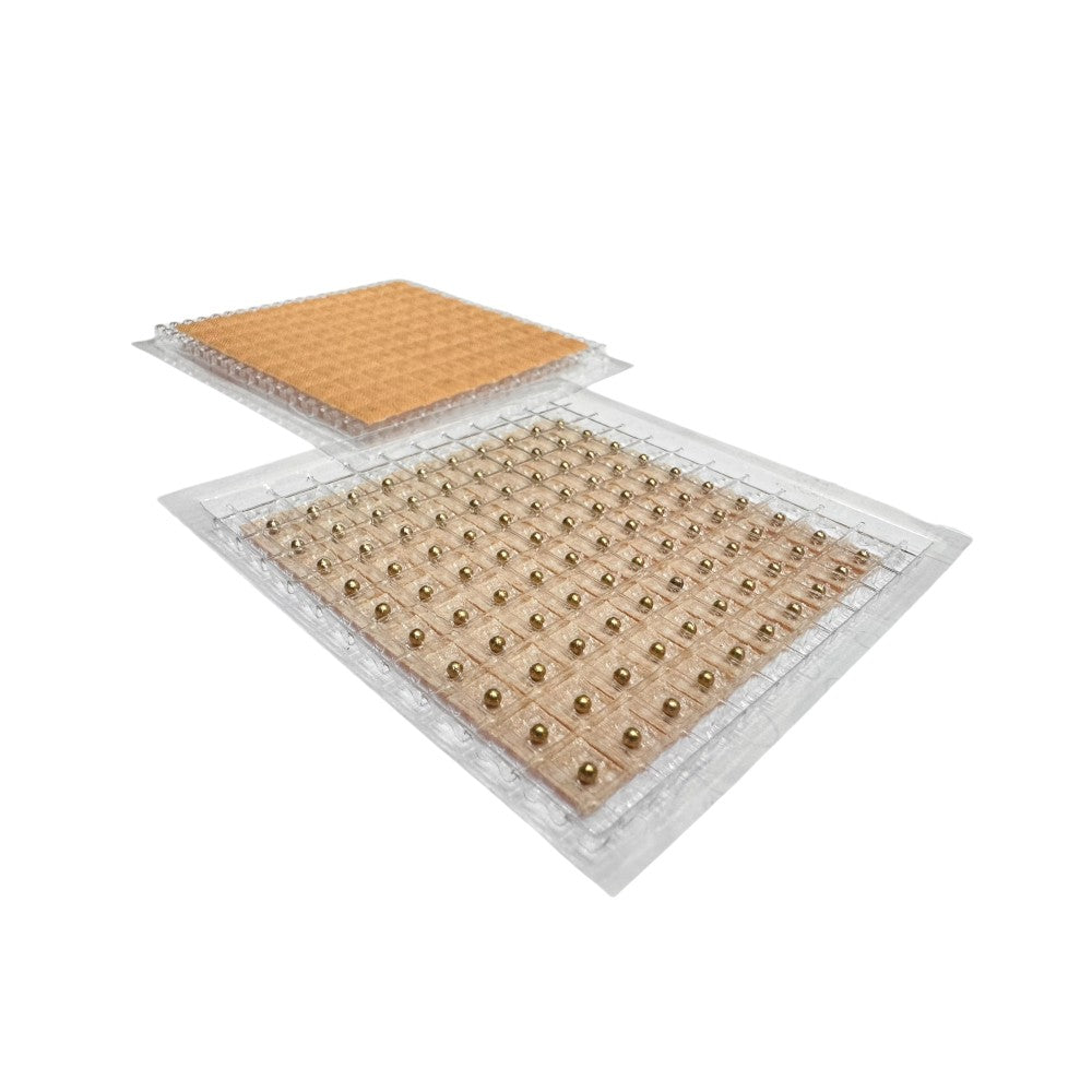 IMÁN PARCHE DE GÉNERO 100 UNIDADES