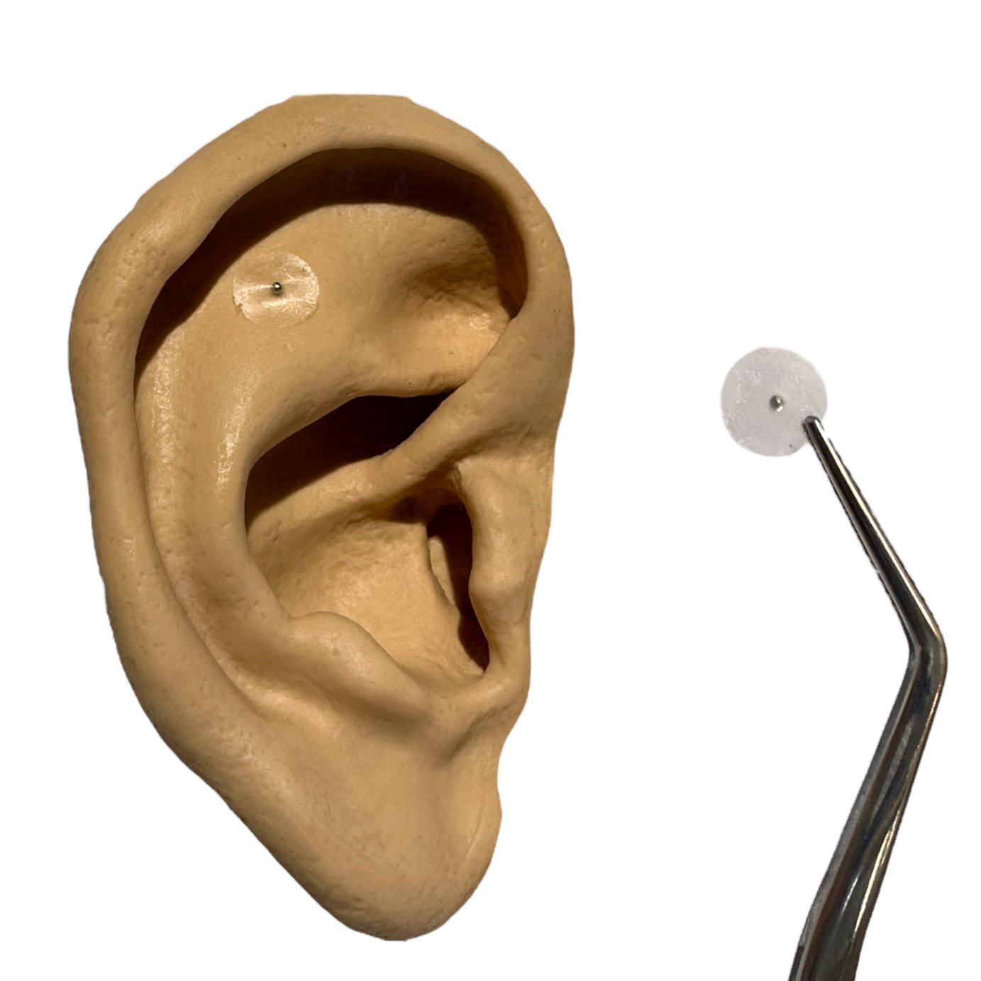 BALINES MAGNETIZADOS PARA AURICULOTERAPIA BLEDKAR