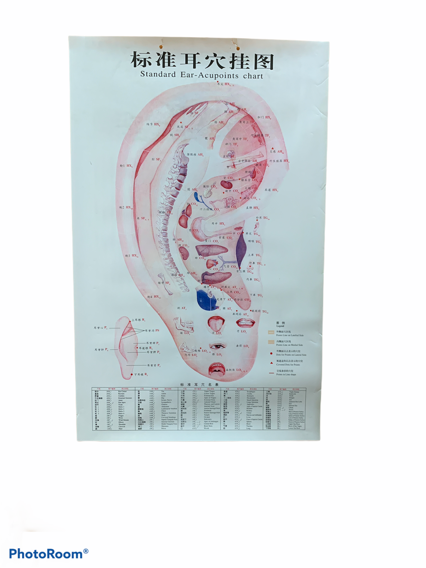 SET DE LÁMINAS PUNTOS DE ACUPUNTURA