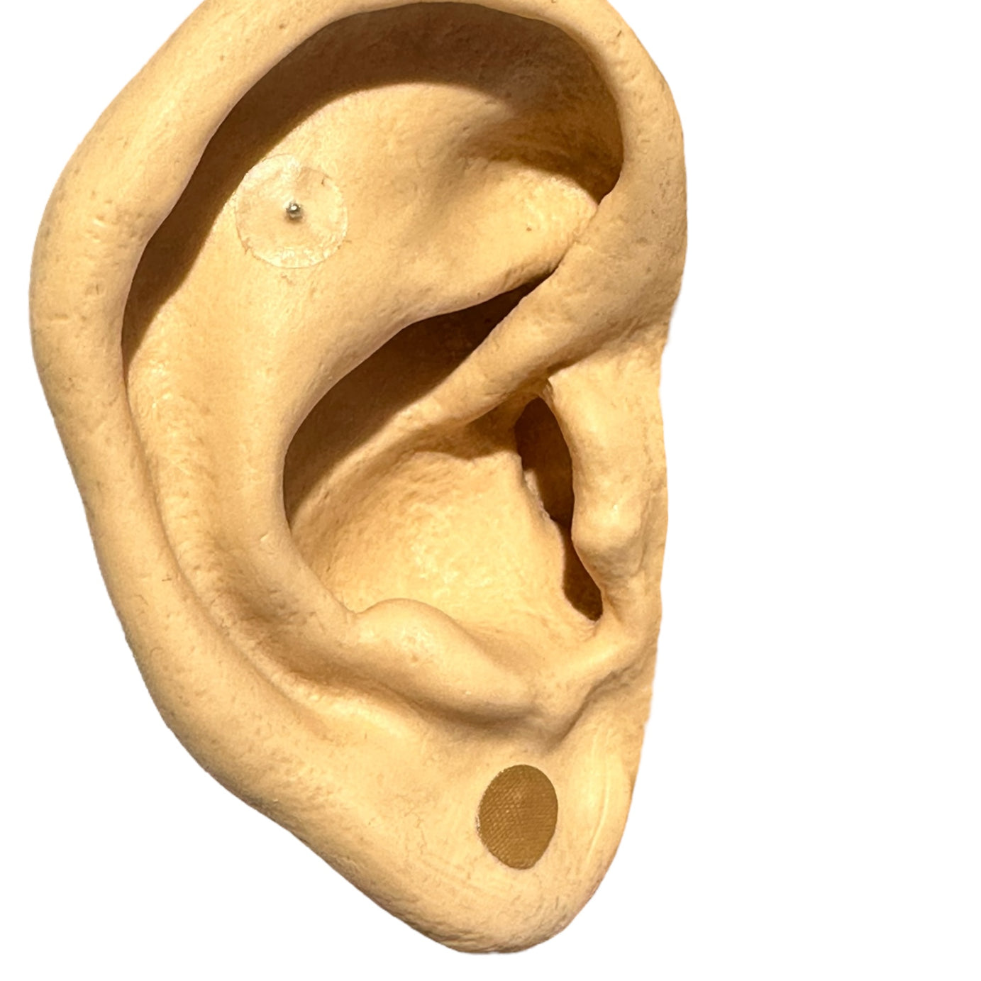 BALINES MAGNETIZADOS PARA AURICULOTERAPIA BLEDKAR