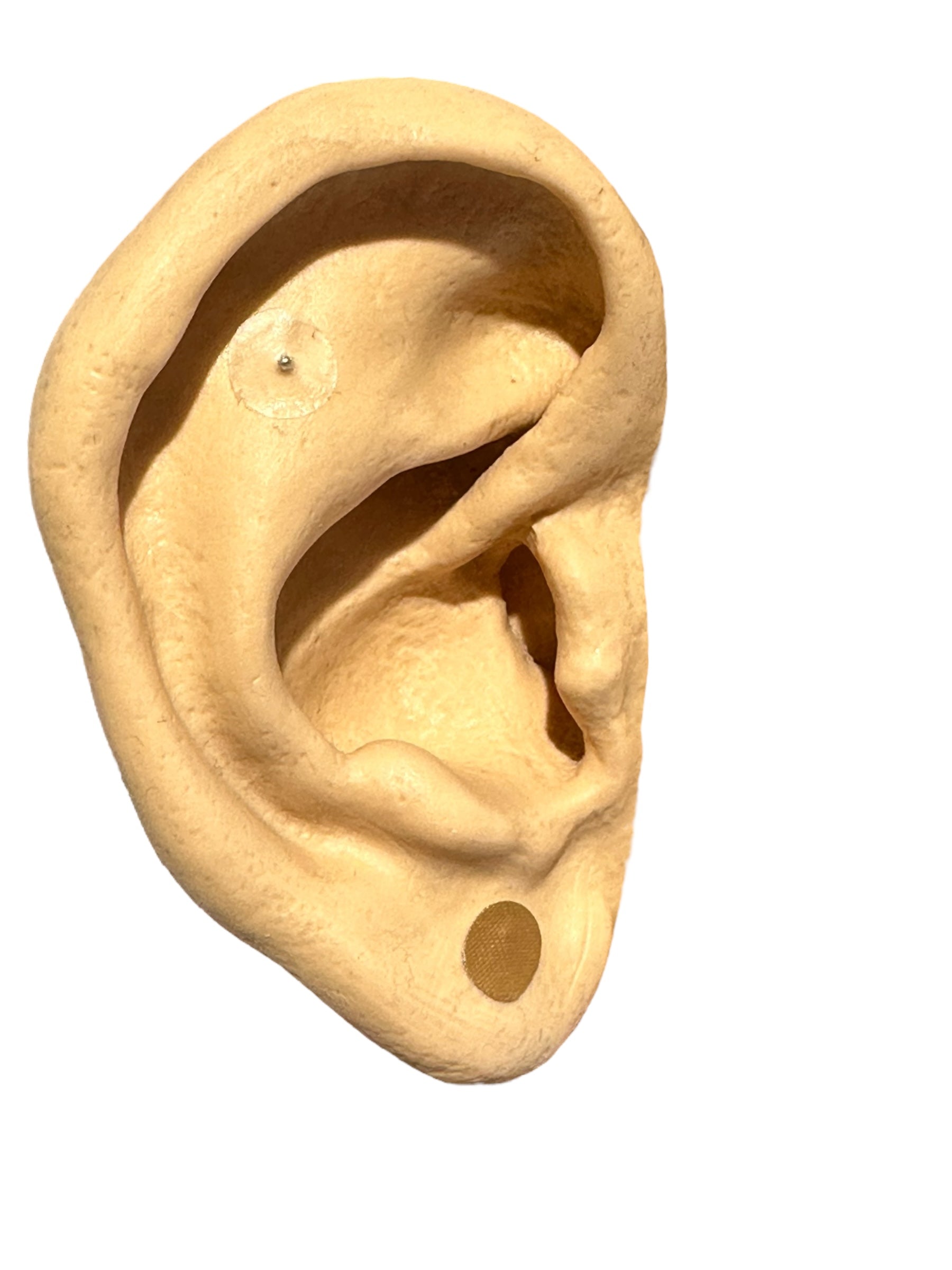 BALINES MAGNETIZADOS PARA AURICULOTERAPIA BLEDKAR