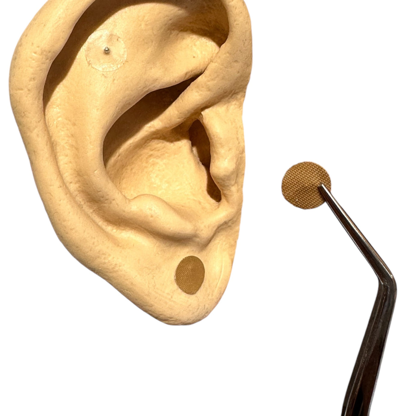 BALINES MAGNETIZADOS PARA AURICULOTERAPIA BLEDKAR