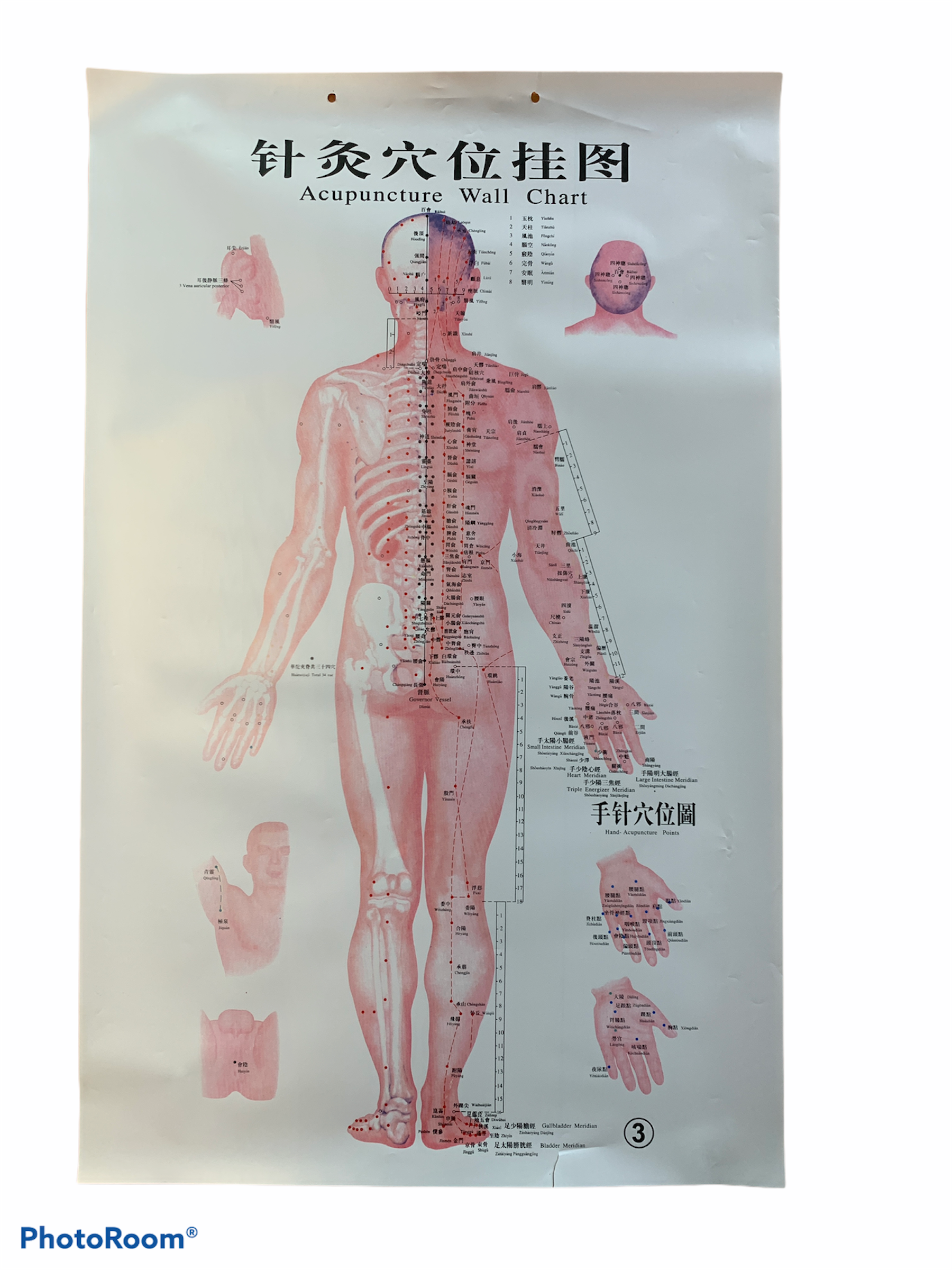 SET DE LÁMINAS PUNTOS DE ACUPUNTURA
