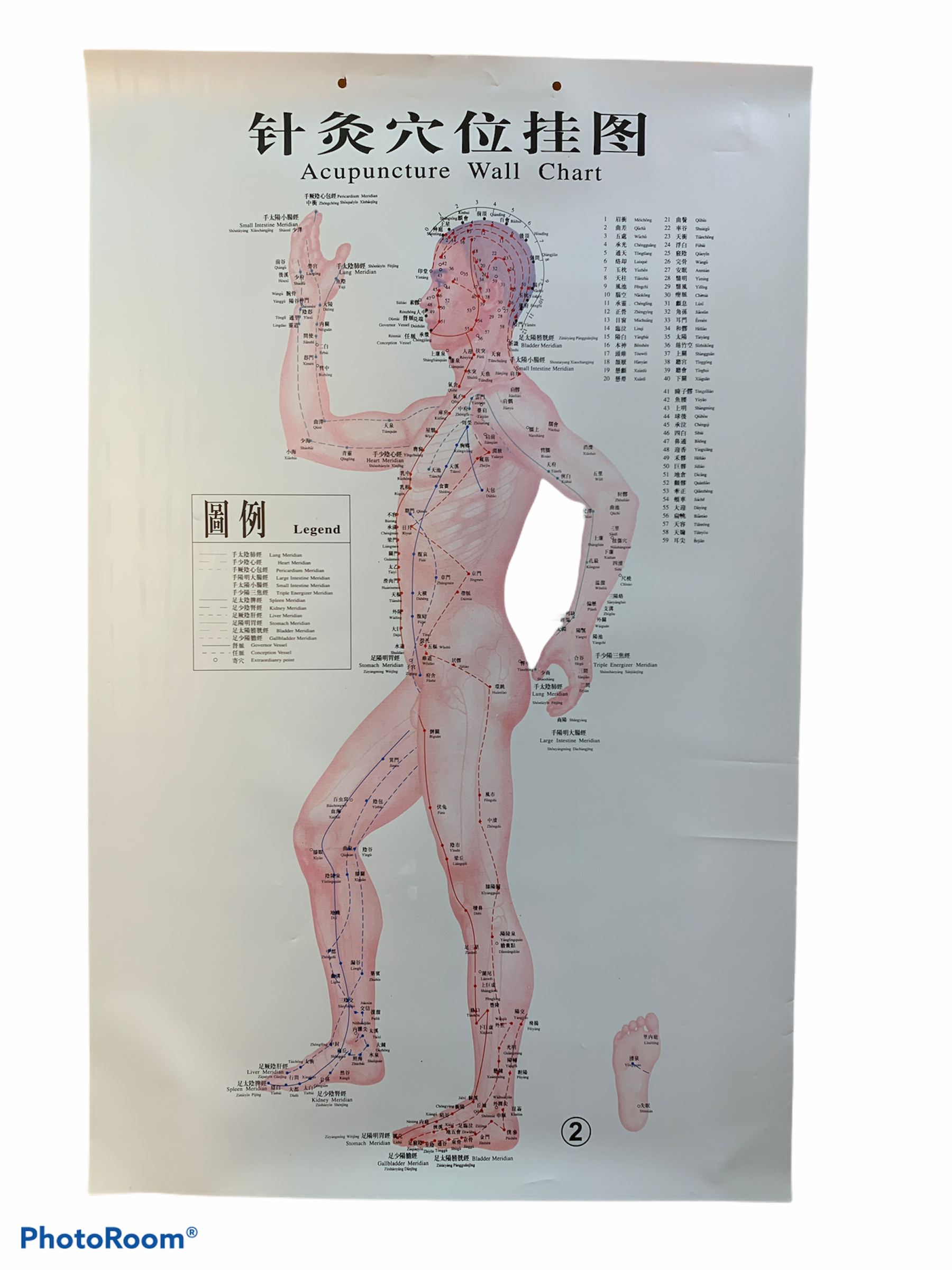 SET DE LÁMINAS PUNTOS DE ACUPUNTURA