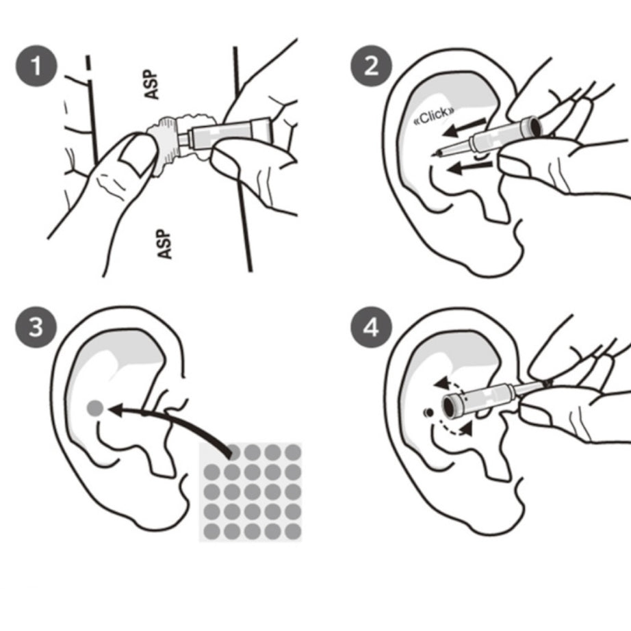 8 AGUJA ASP SEDATELEC