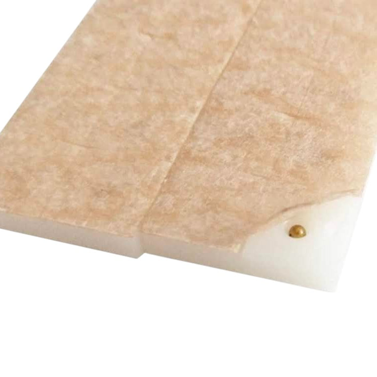 IMANES DE AURICULOTERAPIA