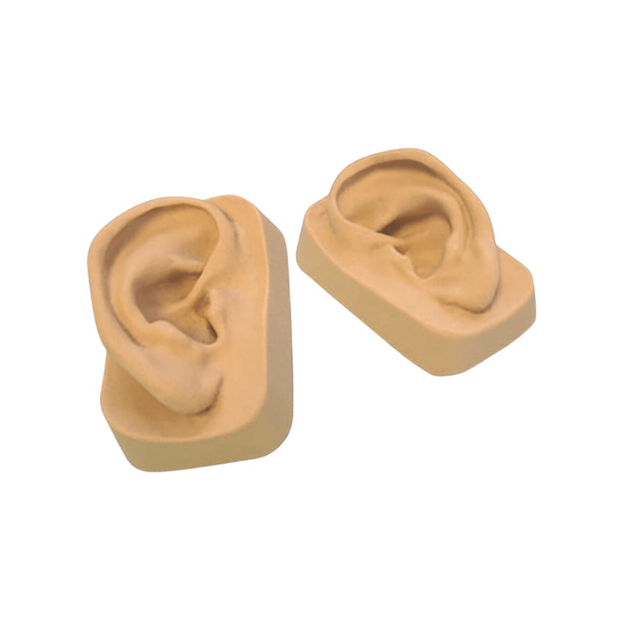 MODELO DE OREJA DE SILICONA PARA PRÁCTICA SEDATELEC